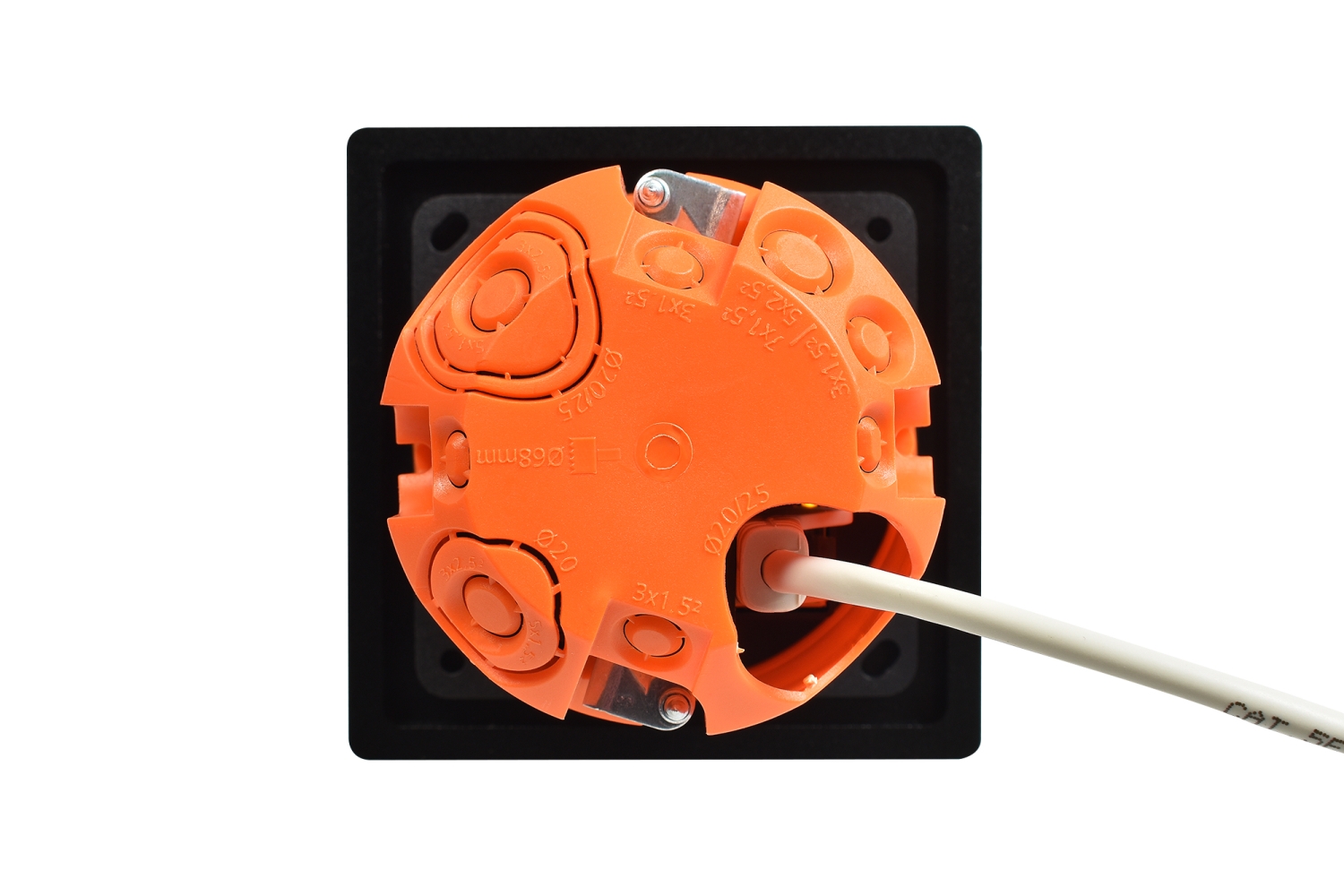 NewHank DConBT